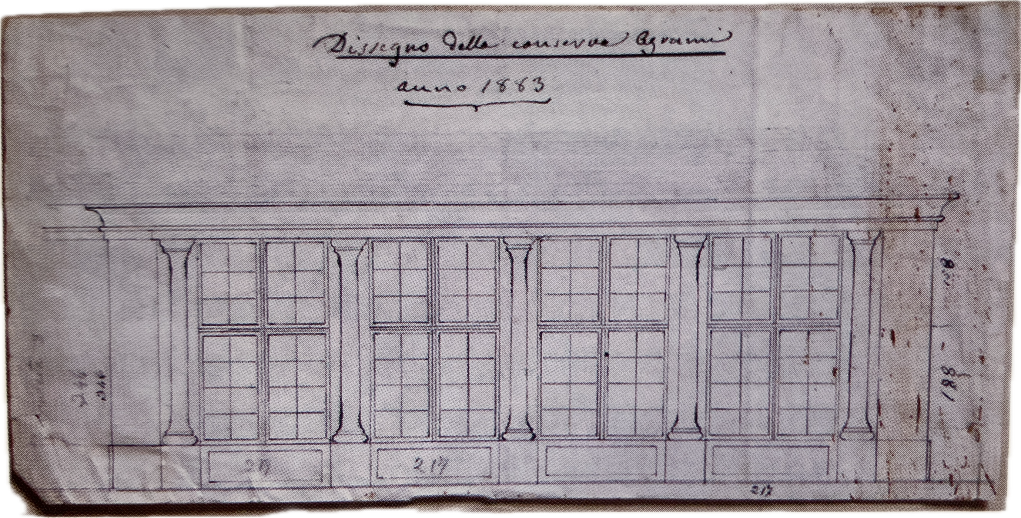 Prospetto conserva agrumi, disegno a penna con data manoscritta 1883